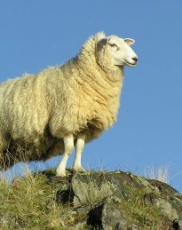 <p>L'amitié, le sacrifice et les secrets de trois amies proches d'une cinquantaine d'année. </p>
